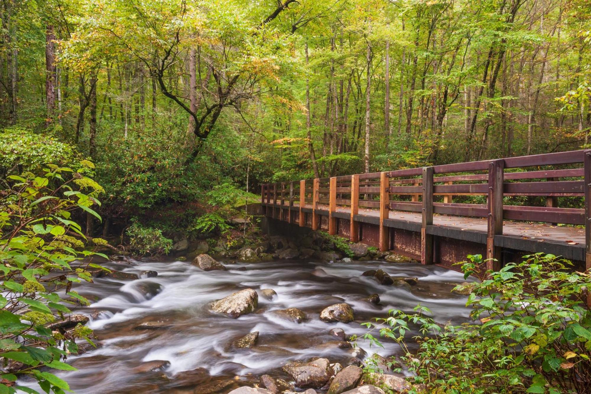 A Million Dollar View- Get 951 Worth Of Free Area Attraction Tickets For Each Paid Day! Villa Gatlinburg Bagian luar foto